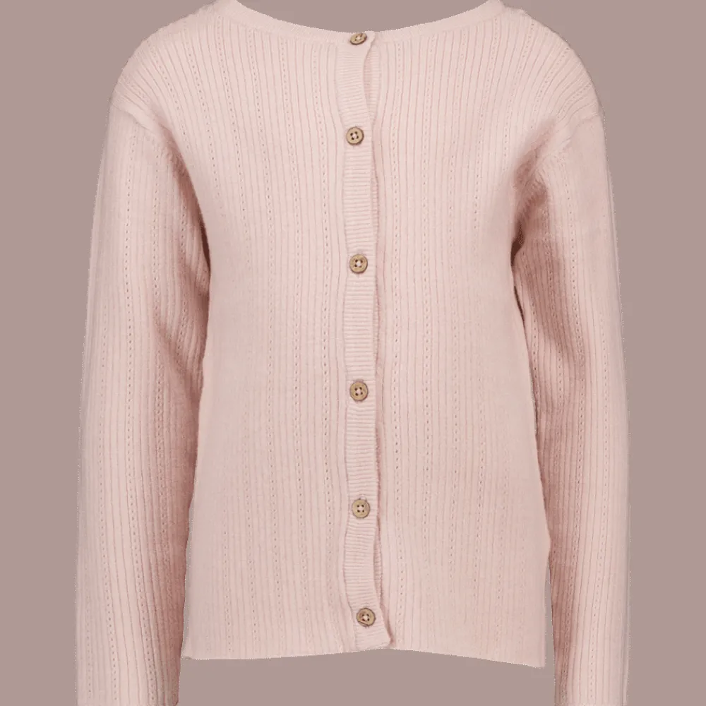 Zeeman Truien & Vesten^Vest - Roze